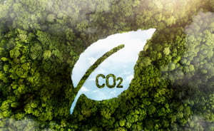 vue-arbres-foret-verte-co2-empreinte-carbone